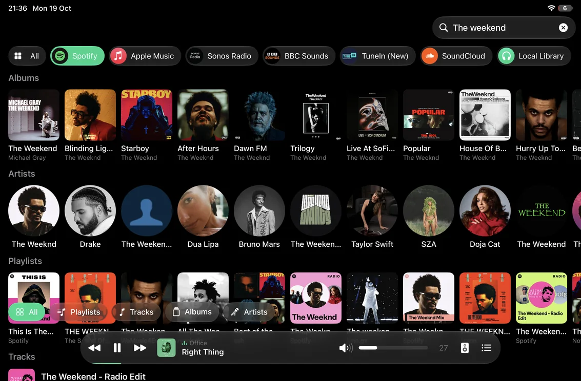 Search on iPad: albums, artists, playlists and tracks, with a chip for each service.